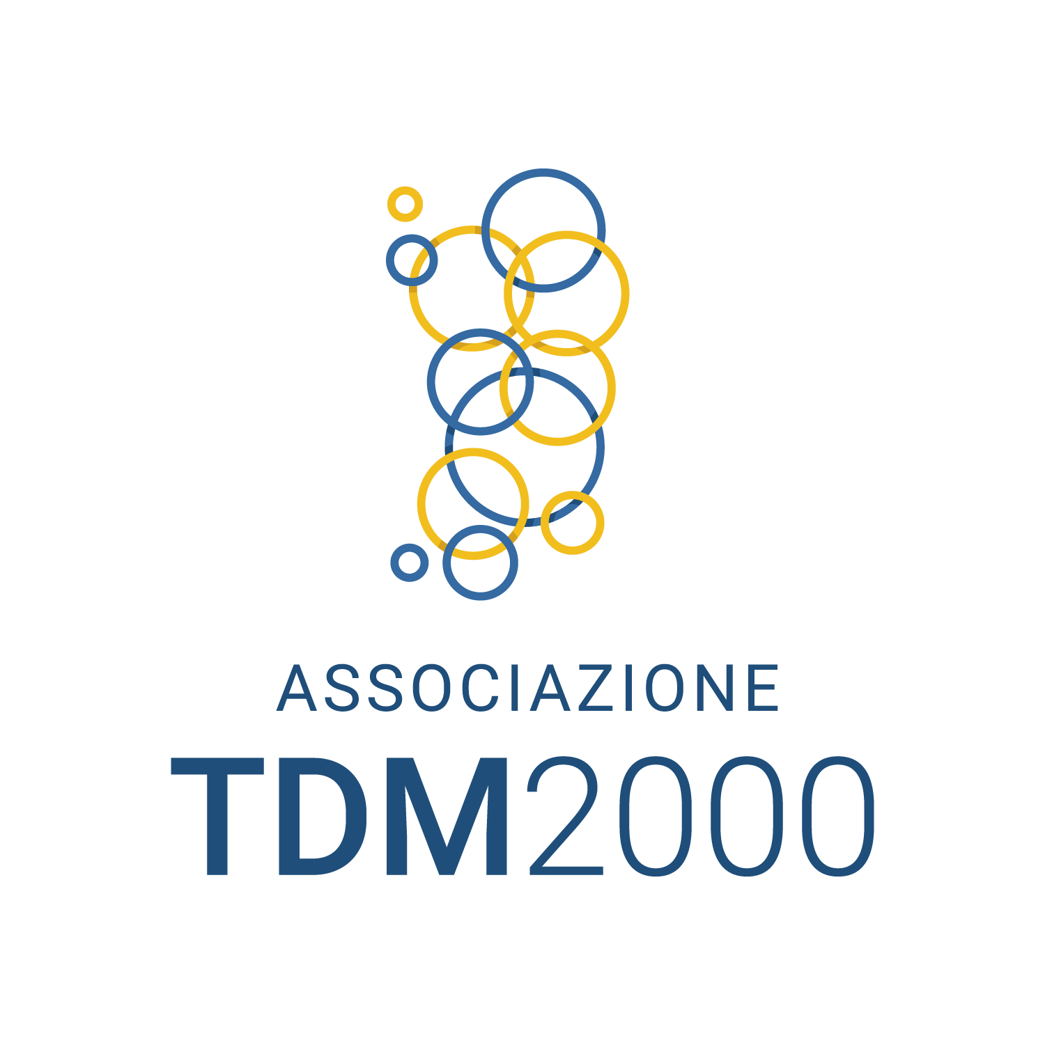 TDM2000 Logo